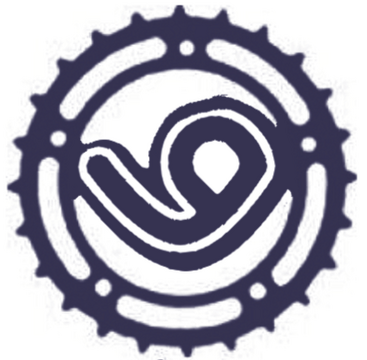 Vgen
